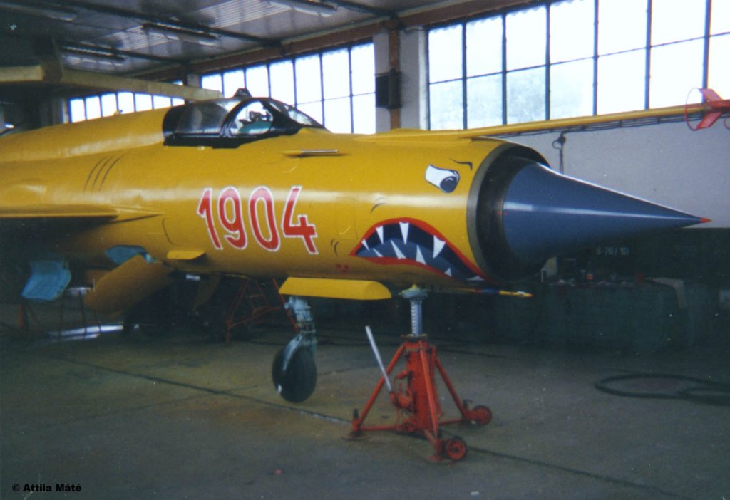 Photograph