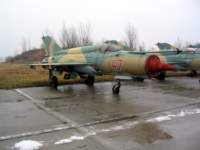 _papa_040203_gyz_716_small.jpg