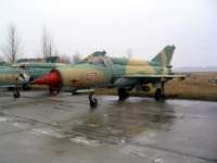 _papa_040203_gyz_722_small.jpg