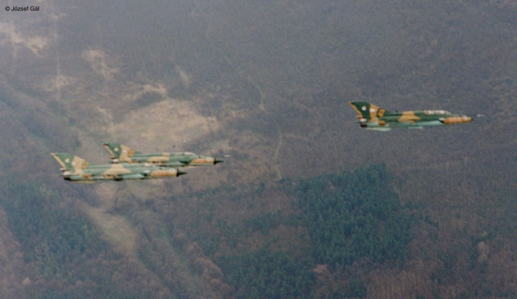 _mig_21bis_073_gr_jg1_11.jpg