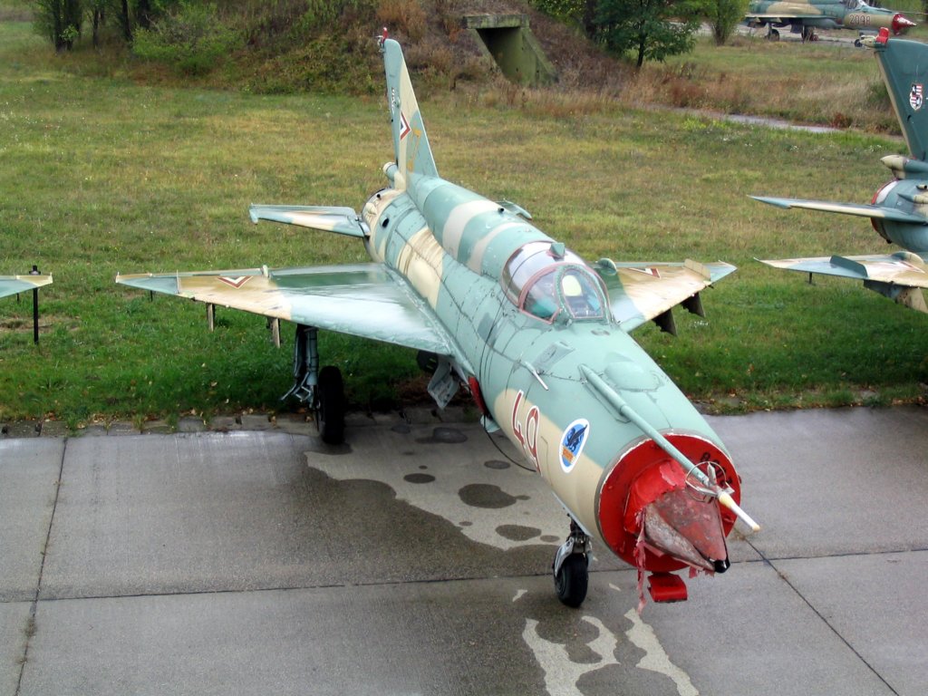_pa030922_gyz_012_mig_21.jpg