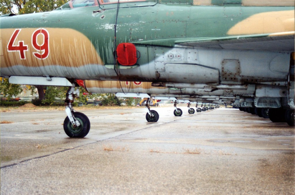 _pa030929_ag_006_mig_21.jpg
