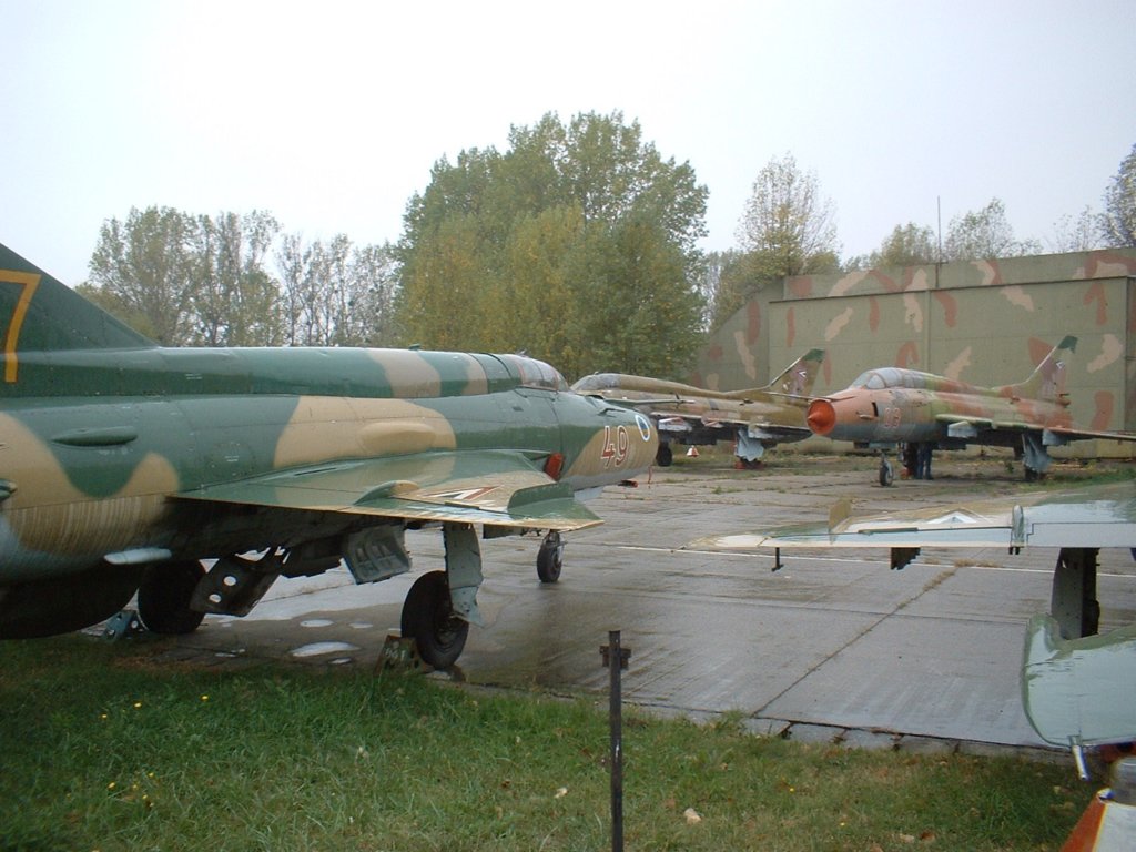 _pa030929_js_102.jpg